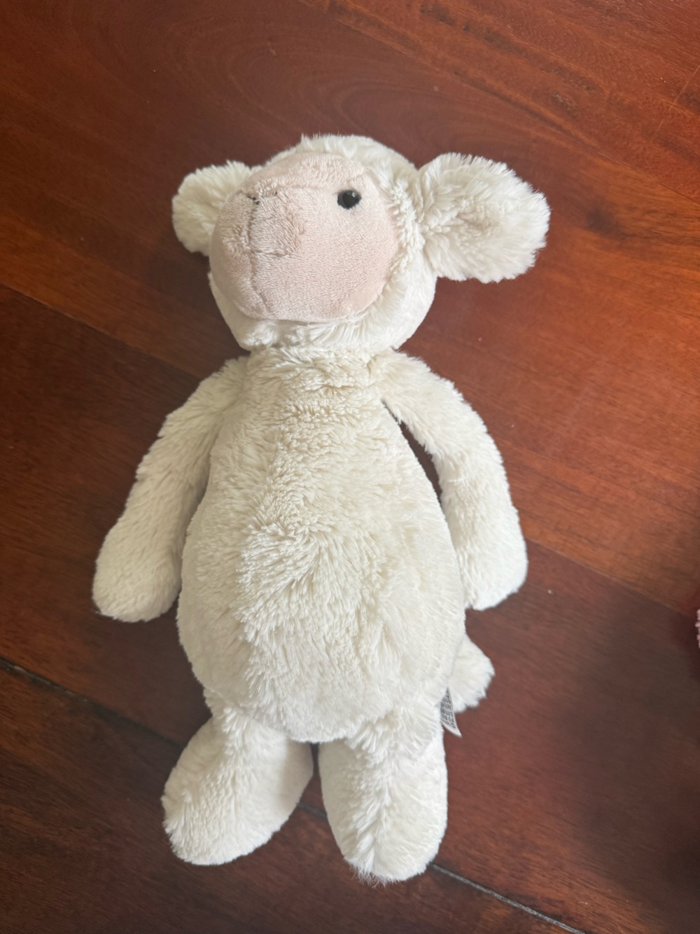 Jellcat Bashful Lamb